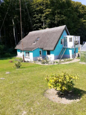NEU! FeWo unter Reet am Wald auf Rügen, Lohme